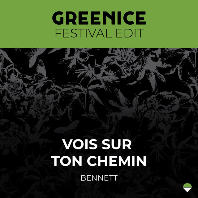 Vois Sur Ton Chemin (Greenice Edit) — Greenice